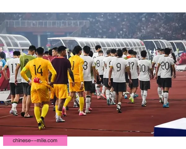 2026世界杯官方商城全新发布球队主题文化衫让你与热情同行